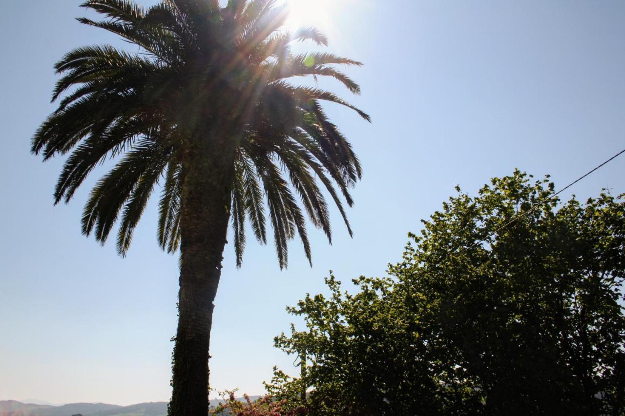 Casa La Palmera Gormazo Dış mekan fotoğraf